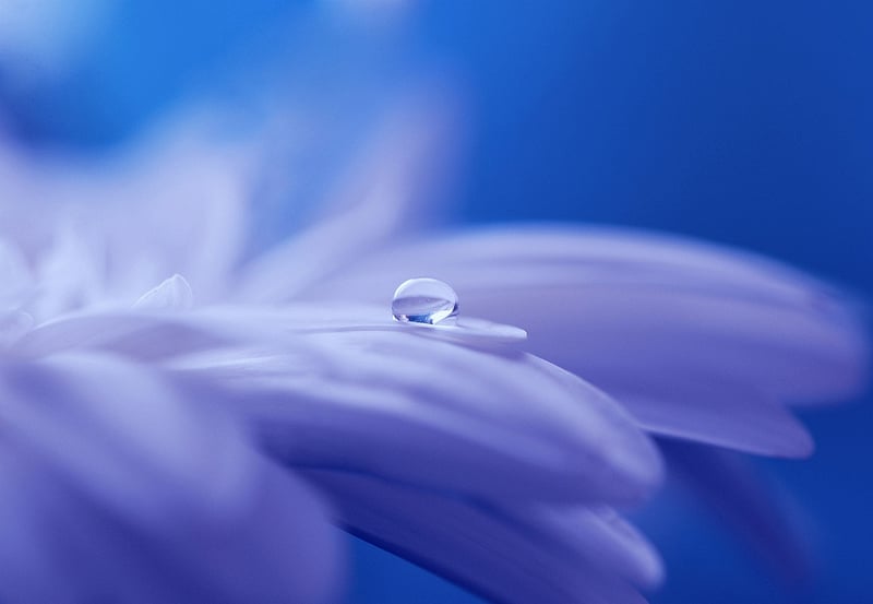 Mystical Clearing